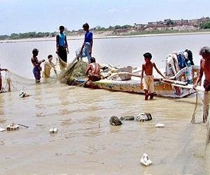 Floods 'great catch' for Pakistan fishermen