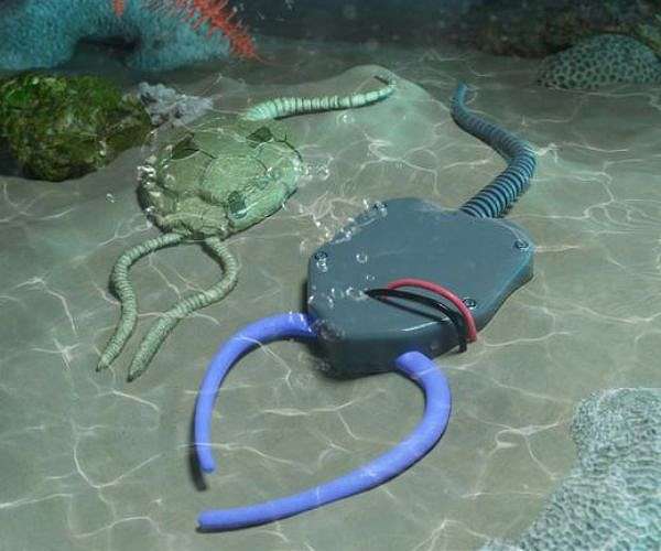 Paleobionics Fuels Innovation in Soft Robotic Design