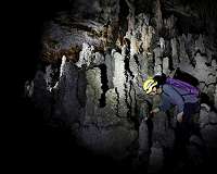 Earth more solar exposed with rapid magnetic field reversals