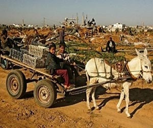 Palestinian economic plan taking shape
