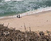 Gazans take the plunge at poisoned beaches