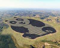 Chinese solar boom sparks global renewables boon: study