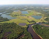 Fires triple in Brazil's Pantanal wetlands in 2020