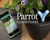 'Smart pot' watches over house plants