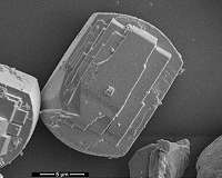 Scientists trace 'poisoning' in chemical reactions to the atomic scale