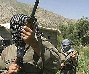 Iran offensive kills 180 Kurdish rebels: Guards