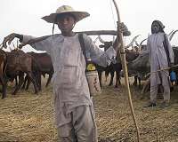 Hunter-gatherers in Africa were dairying as early as first millennium AD