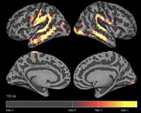 Brain Does Not Work The Way A Computer Does Recognizing Speech