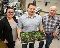 Newly characterized protein has potential to save US farmers millions annually