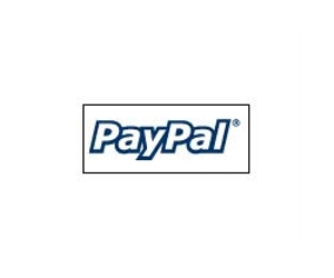 PayPal lets shops take payments on smartphones