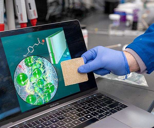 Researchers use water treatment method to capture acids from agricultural waste