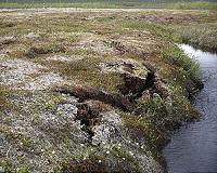 Climate peril stirring in permafrost, experts tell UN