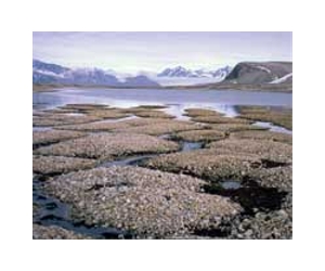 Scientists try to gauge permafrost gases