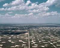Is There Life After the Oil Apocalypse?