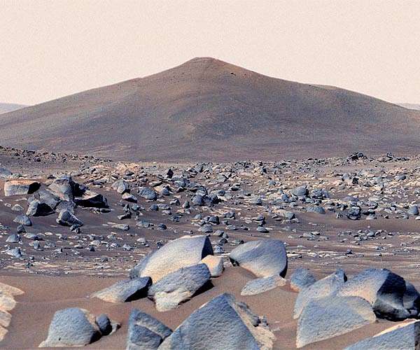 Perseverance rover begins hunt for signs of Martian life