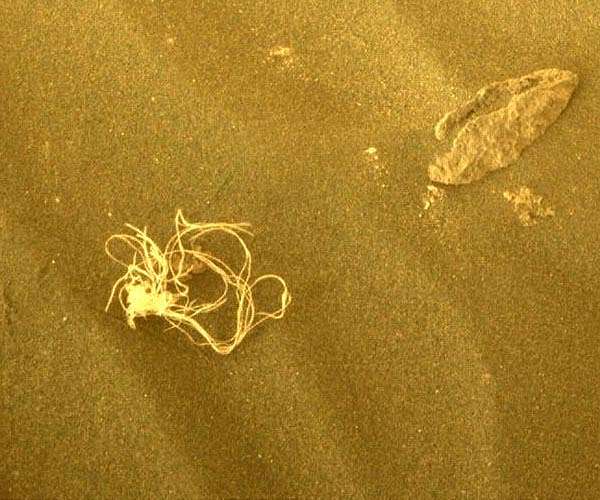 String theory: NASA Mars rover discovers mystery object