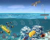 PALS Turns to Marine Organisms to Help Monitor Strategic Waters