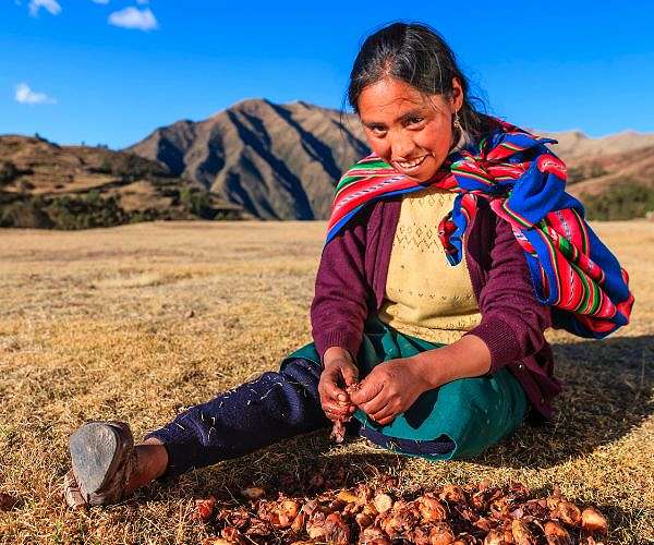 Waste not want not: Peruvian drive to feed more with less