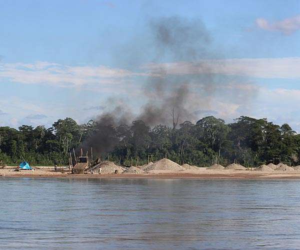 Brazil, Venezuela, Bolivia see surging wildfire emissions: EU monitor
