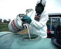 Obama orders review of pesticides' effect on bees