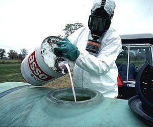 U.S. not siding with Europe in blaming pesticides for honeybee losses
