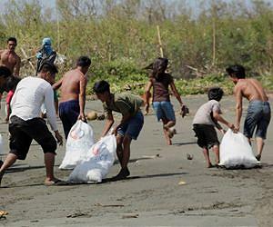 Informal supply chains help feed typhoon survivors