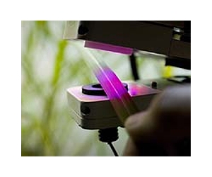 Putting light-harvesters on the spot