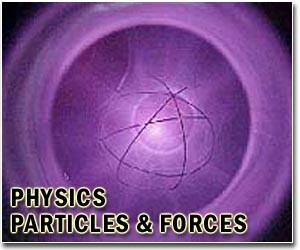 Possible new elementary particle described