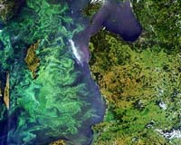 Harmful Algal Blooms Monitored From Space In Chile