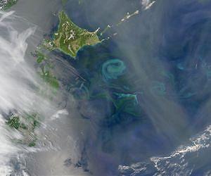 Scientists solve a 14,000-year-old ocean mystery