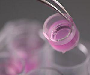 Can New Plasma-Based Biomaterials Speed Healing of Injured Tissues?