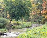 National model of restoration: Nine Mile Run