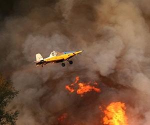 Israeli forest fire sign of climate change: study