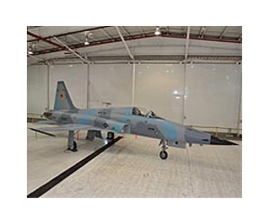 Iran F-5 fighter crashes killing two crew