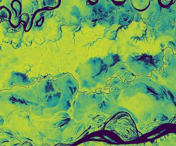 Planet and Laconic collaborate to advance AI-driven forest carbon monitoring for carbon credit markets