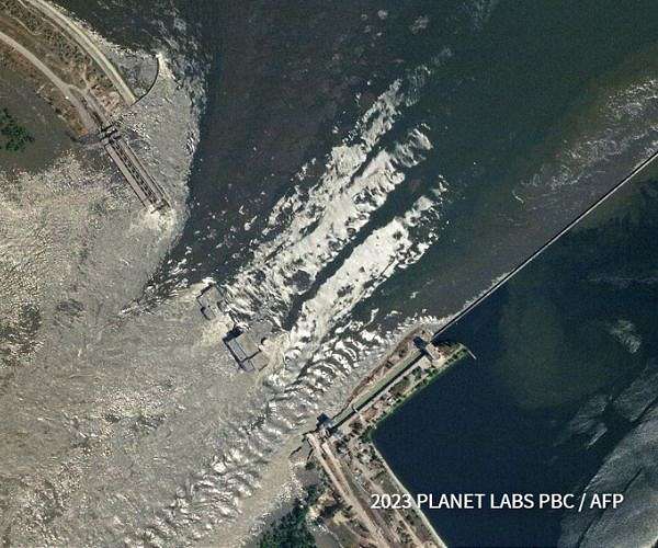Nature reborn a year after Ukraine dam blast
