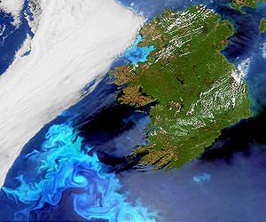 Struggling N. Ireland farmers get boost