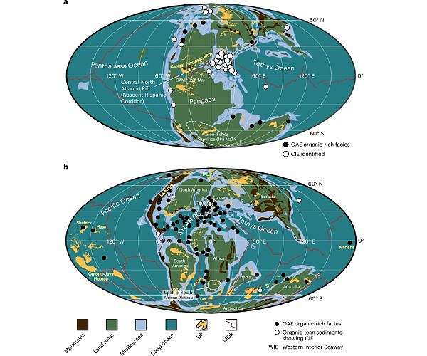 Land-sea forces led to marine extinctions millions of years ago