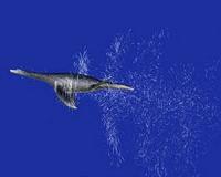 Sticking your neck out: How did plesiosaurs swim with such long necks?