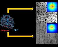 Oyster shells inspire new method to make superstrong, flexible polymers