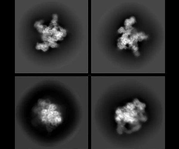 Irvine group creates enzyme for efficient synthetic genetic material production