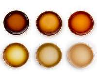 Scientists develop molecular code for melanin-like materials