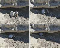 Origami-inspired Robot Can Hitch a Ride with a Rover