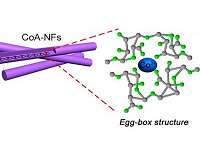 Seaweed: From superfood to superconductor