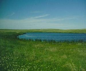 Temperate Freshwater Wetlands Are 'Forgotten' Carbon Sinks