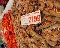 High price of shrimp linked to water pollution: study