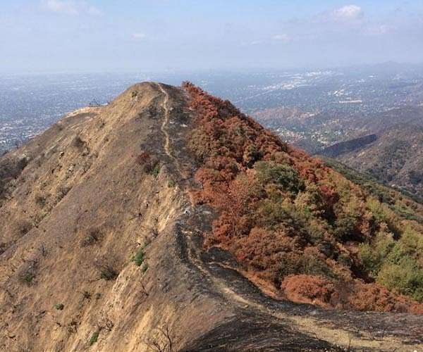 Mountain fires burning higher at unprecedented rates