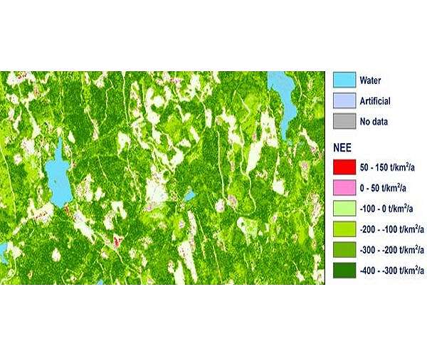 Finland's foresters decry 'unfair' EU climate plans