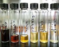 Plant genetic advance could lead to more efficient conversion of plant biomass to biofuels