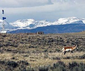 U.S moves massive wind farm plan forward